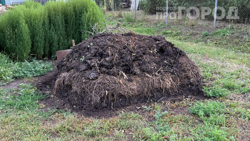 Что нельзя бросать в компост ни в коем случае: мыши и смрад придут на ваш участок