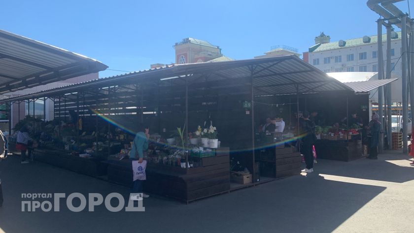 Сезонные дары Йошкар-Олы: почему помидоры стали золотыми по 400 рублей за кило
