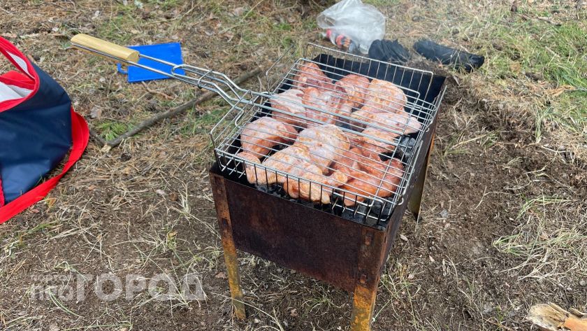 Почему фермеры никогда не берут готовый шашлык в магазине: мерзкие подробности, от которых станет плохо