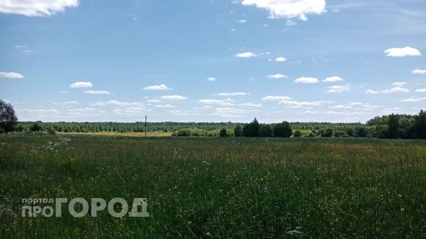 Житель Звениговского района попал под суд из-за сорняков