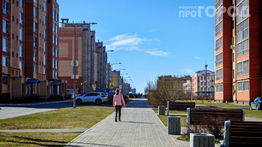 Май играет с нами: после аномальной жары  резкий холод, что ждёт Центральную Россию на последней неделе