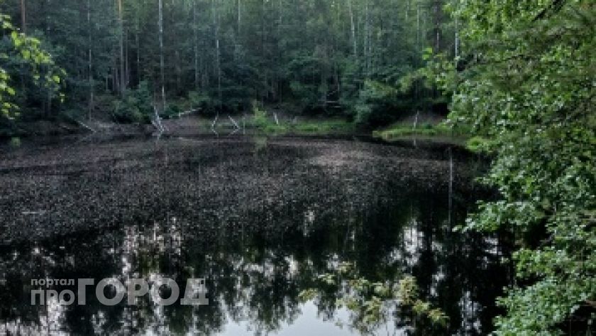 Земля уходит вниз, а люди исчезают: жуткие легенды марийских озер