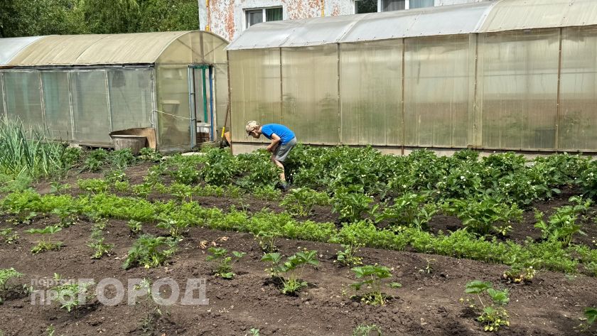 Незабудковый июнь погубит весь урожай: о новых катаклизмах предупредили россиян