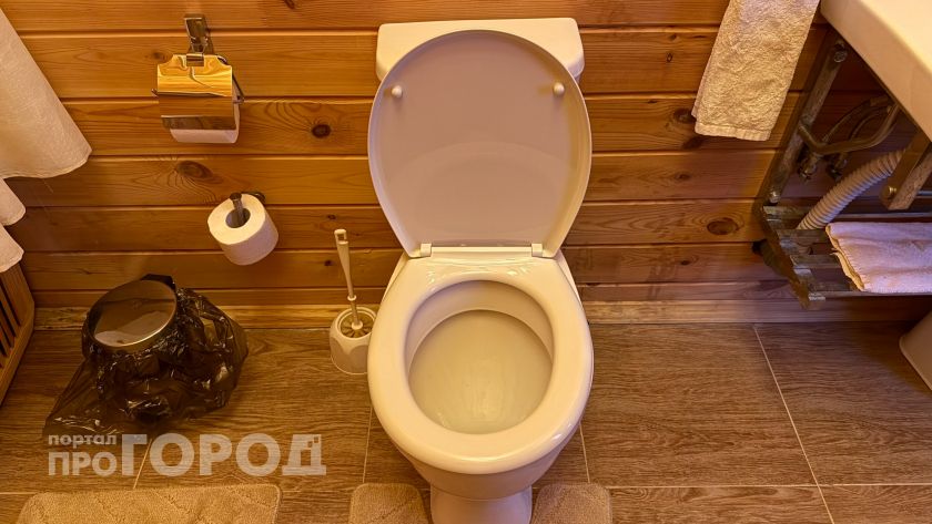Туалетной бумагой не пользуюсь уже года три: нашла новый метод - дешевле и удобнее