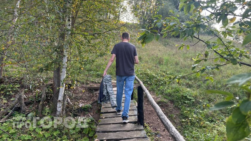Жители Марий Эл стали в полтора раза чаще заражаться мышиной лихорадкой