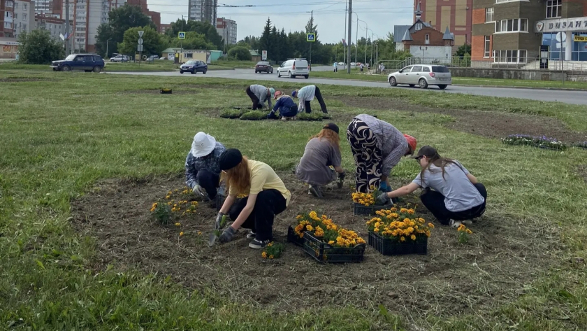 В Йошкар-Оле зацвели разворотные кольца