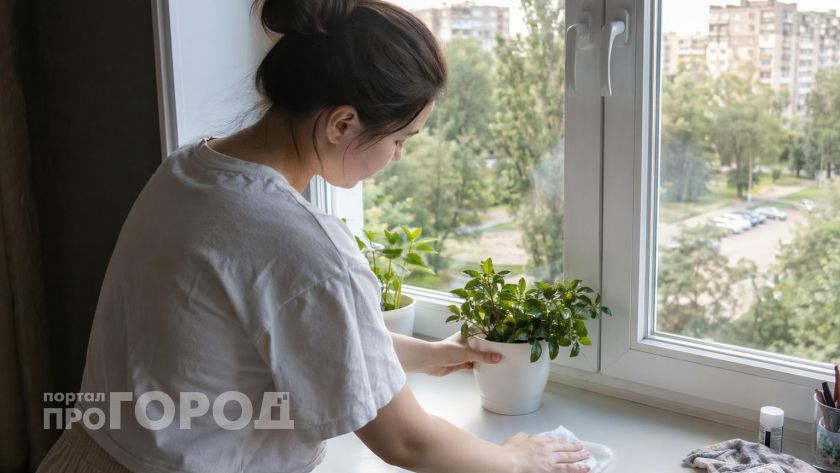 Пластиковые подоконники уже колхоз: чем их заменяют в 2026 - красивее, дешевле и долговечнее