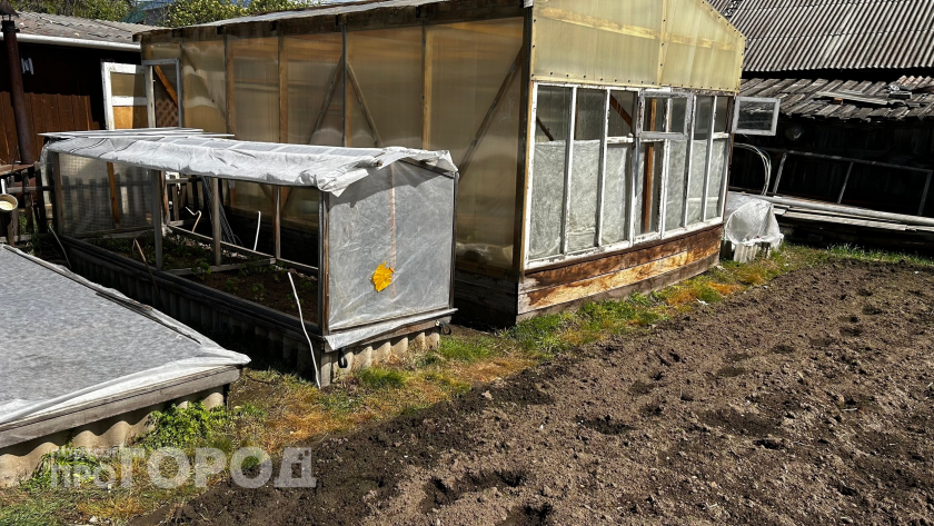 Закрывать или оставлять открытой: что делать с дверью в теплице после заката