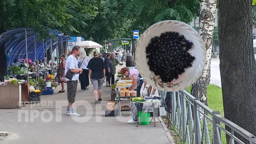 Заоблачные цены устанавливают на чернику в Марий Эл: В этом году ягоды меньше