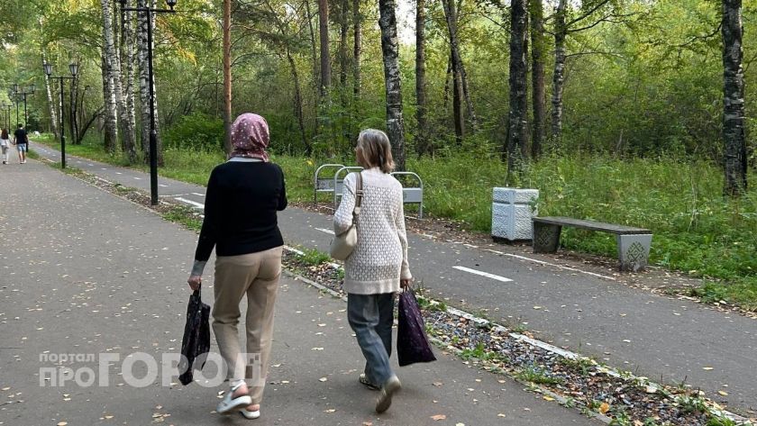 Жителям Марий Эл объяснили, в чем разница между беспилотной опасностью и угрозой атаки БПЛА