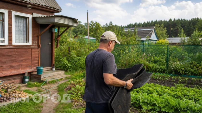 Скупила в Светофоре все резиновые коврики для авто: приспособила на даче под дорожку и не только