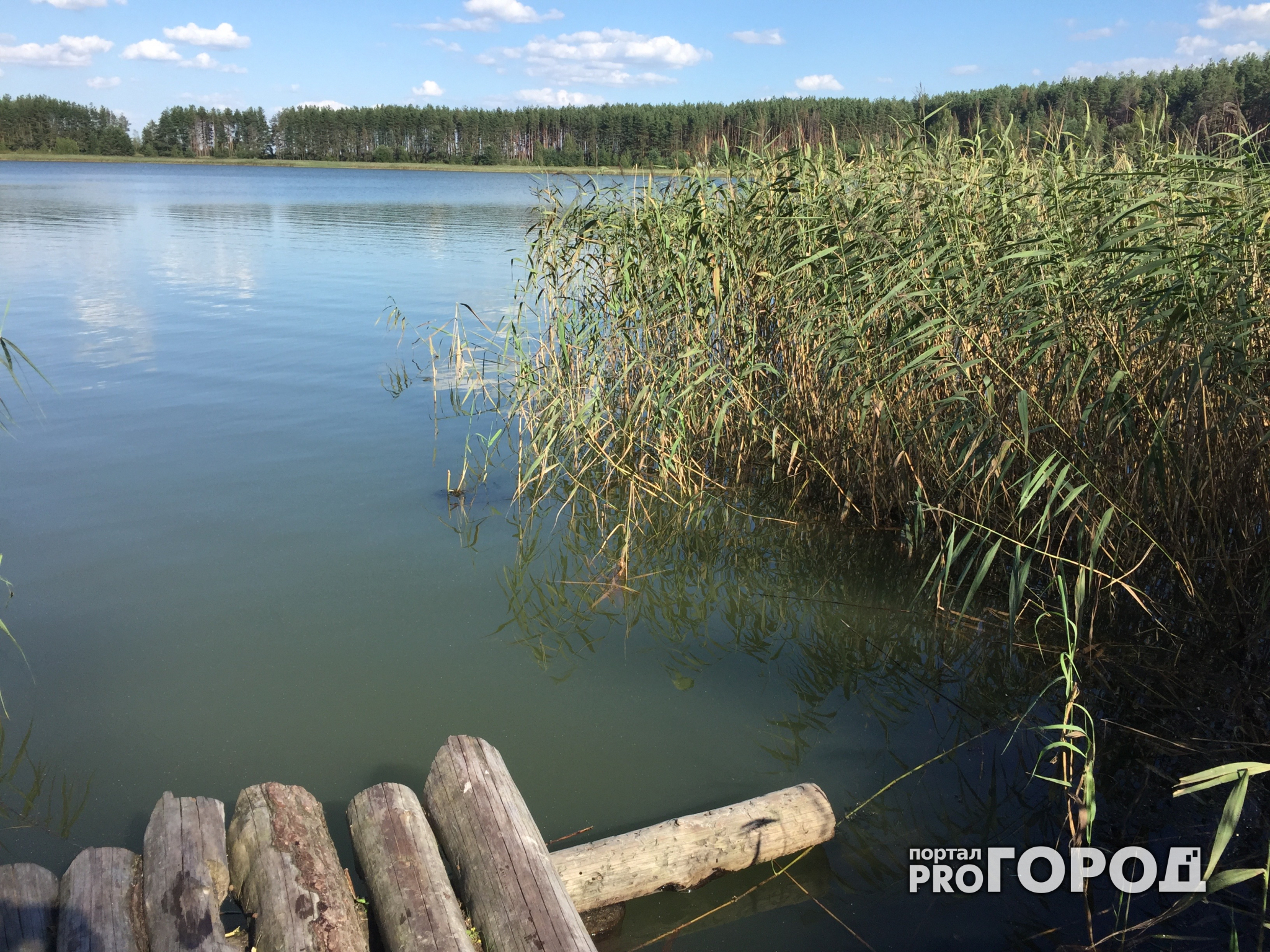 Трагедия в Марий Эл: в озере Коноплянка утонул мужчина
