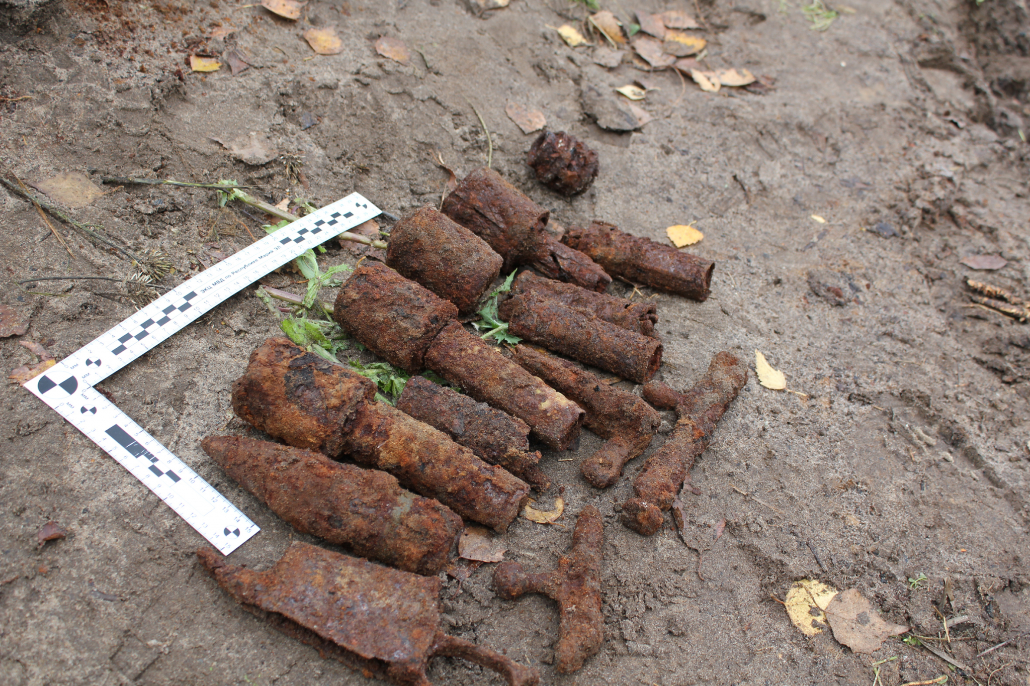 В Марий Эл женщина нашла на своем участке гранаты и тротиловую шашку
