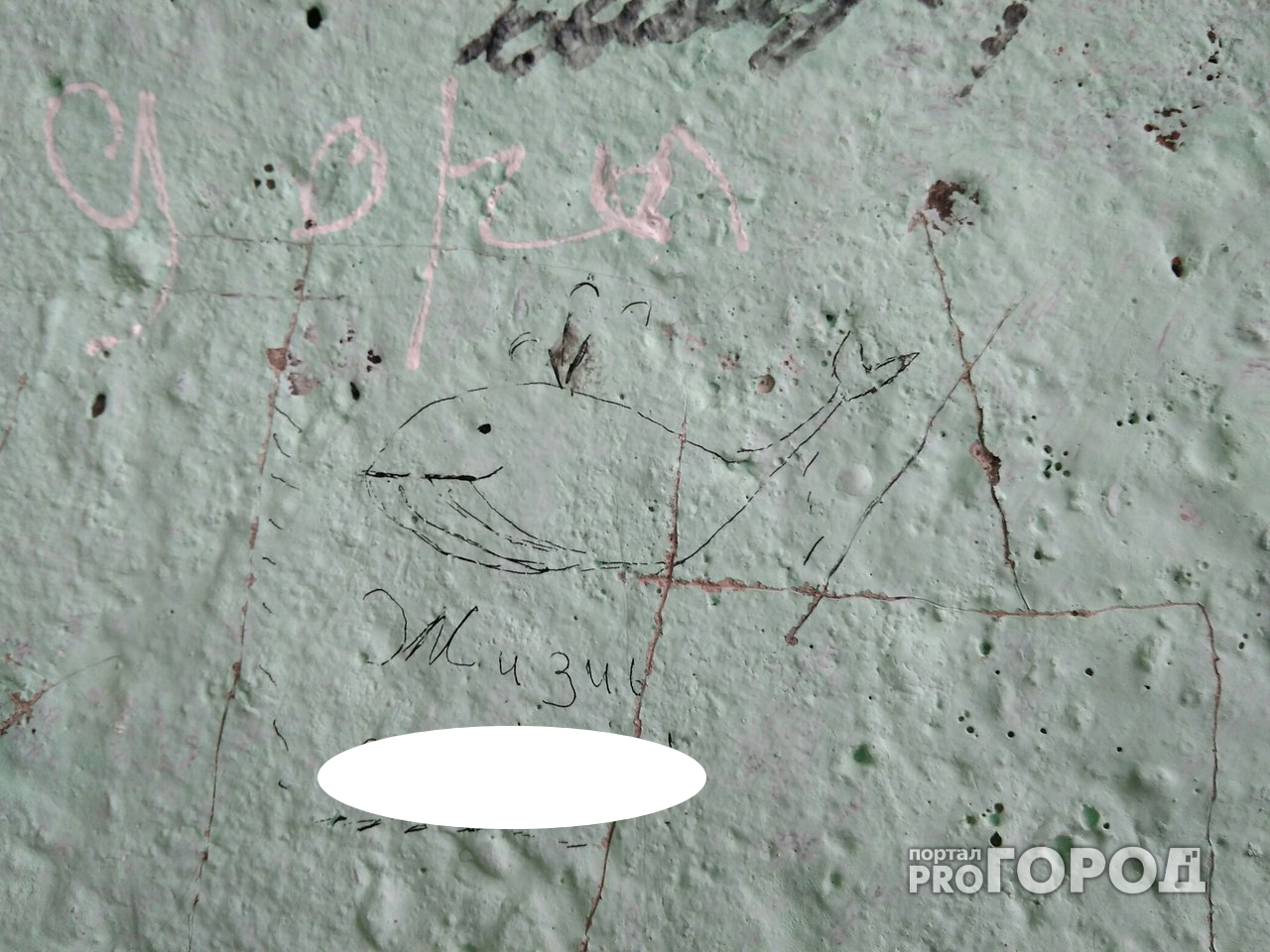 На месте ЧП, где йошкаролинец упал с высоты на авто, нашли «провоцирующие» надписи