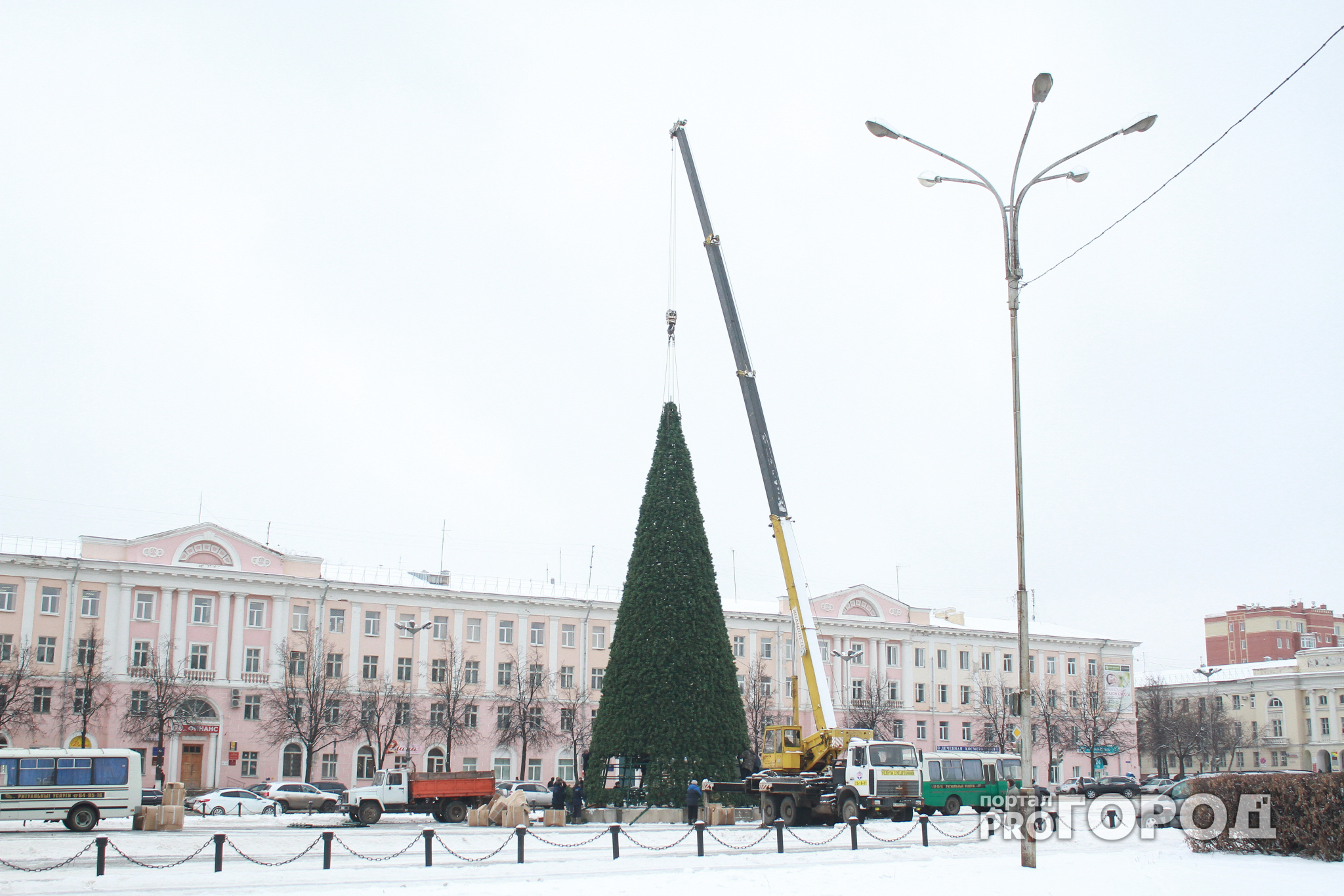 Администрация Йошкар-Олы решила, где будет установлена городская новогодняя елка