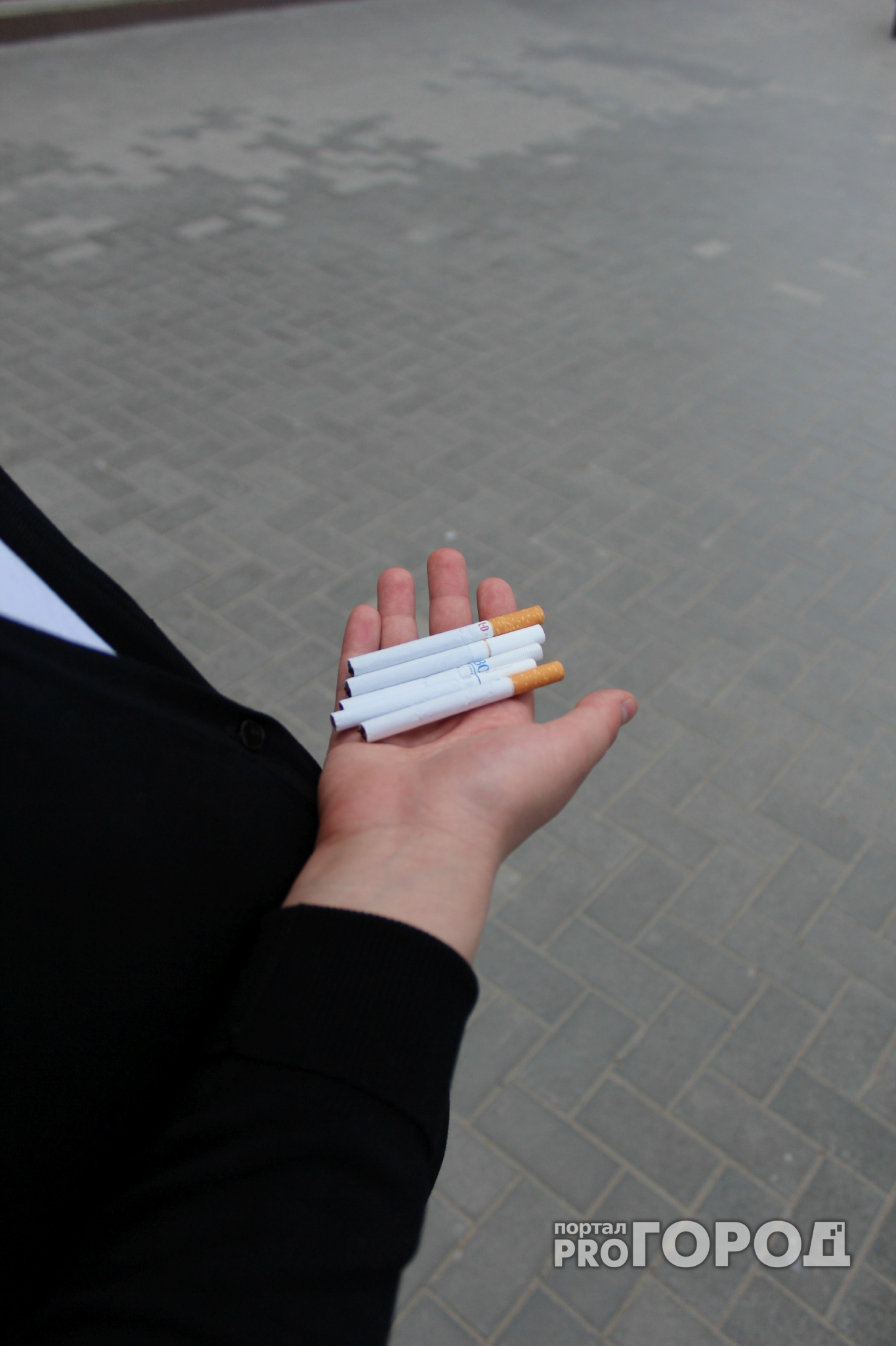 Жители Марий Эл заплатили 570 тысяч рублей за привычку покурить «где не надо»