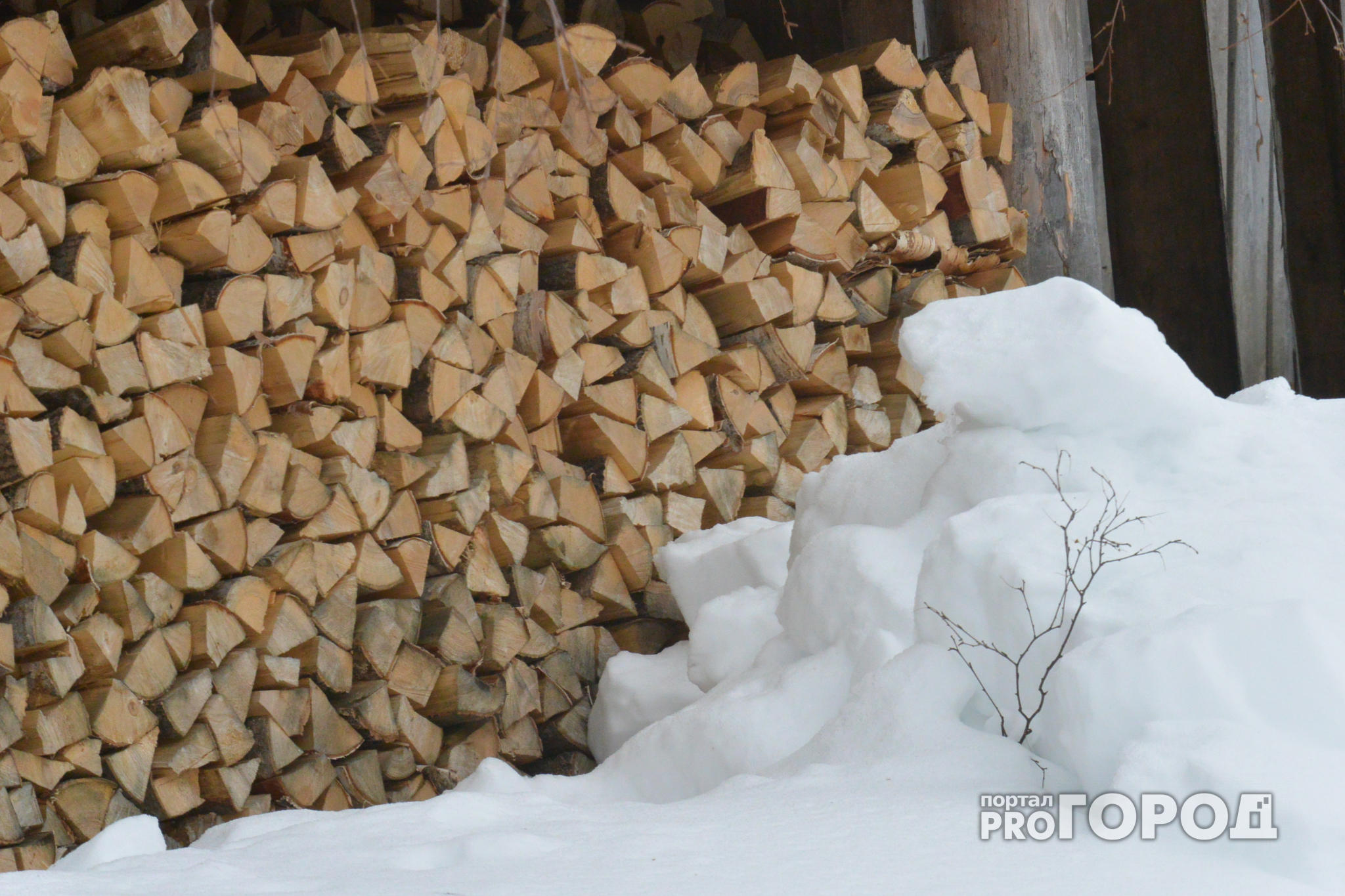 Жители Марий Эл могут бесплатно запастись дровами