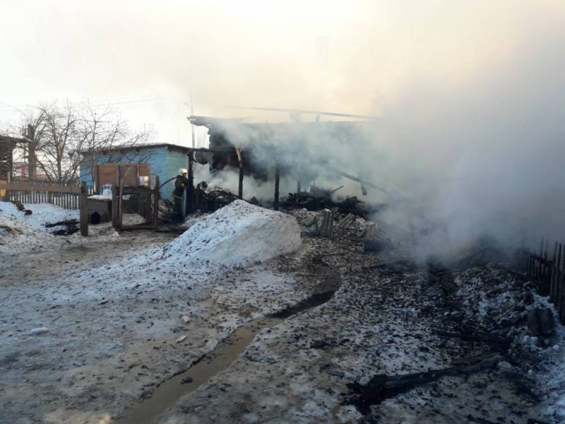 Жители деревни в Марий Эл, в которой пожар унес жизни двух детей: «Они бегали без присмотра, похожие на Маугли»