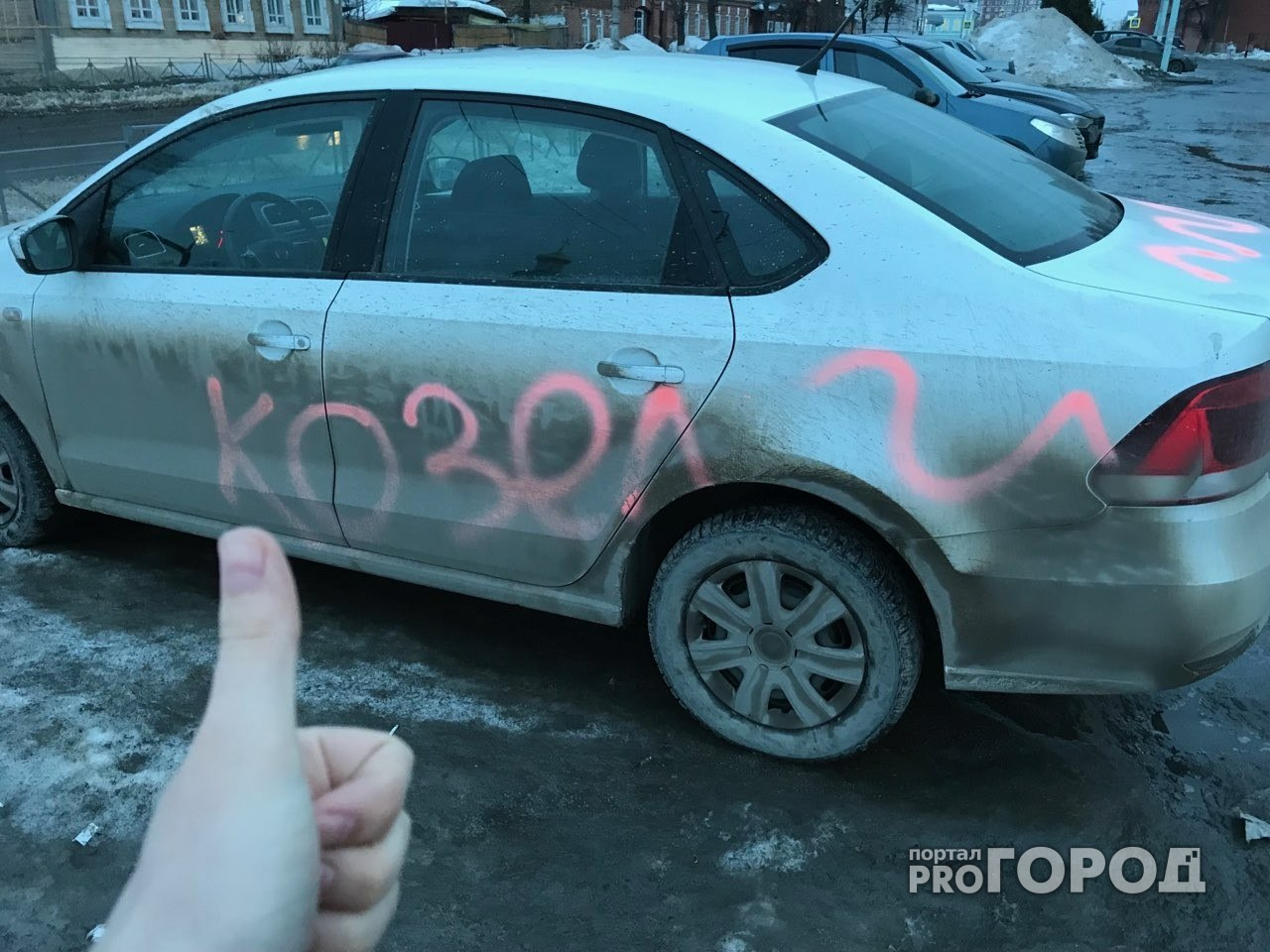 Как отреагировал владелец авто, которое изрисовали розовой краской в Йошкар-Оле?