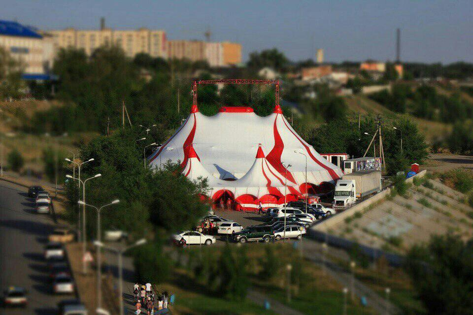 Событие года! Большой Российский цирк шапито GRAND покоряет Йошкар-Олу.