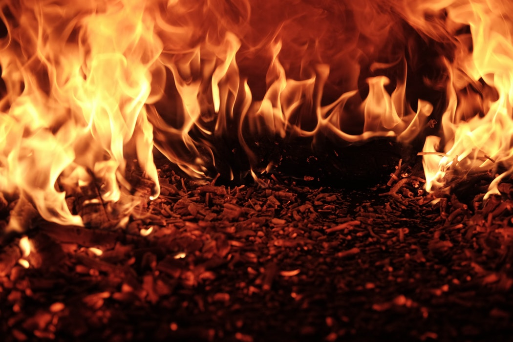 В Марий Эл лесной пожар тушили школьники из Чувашии