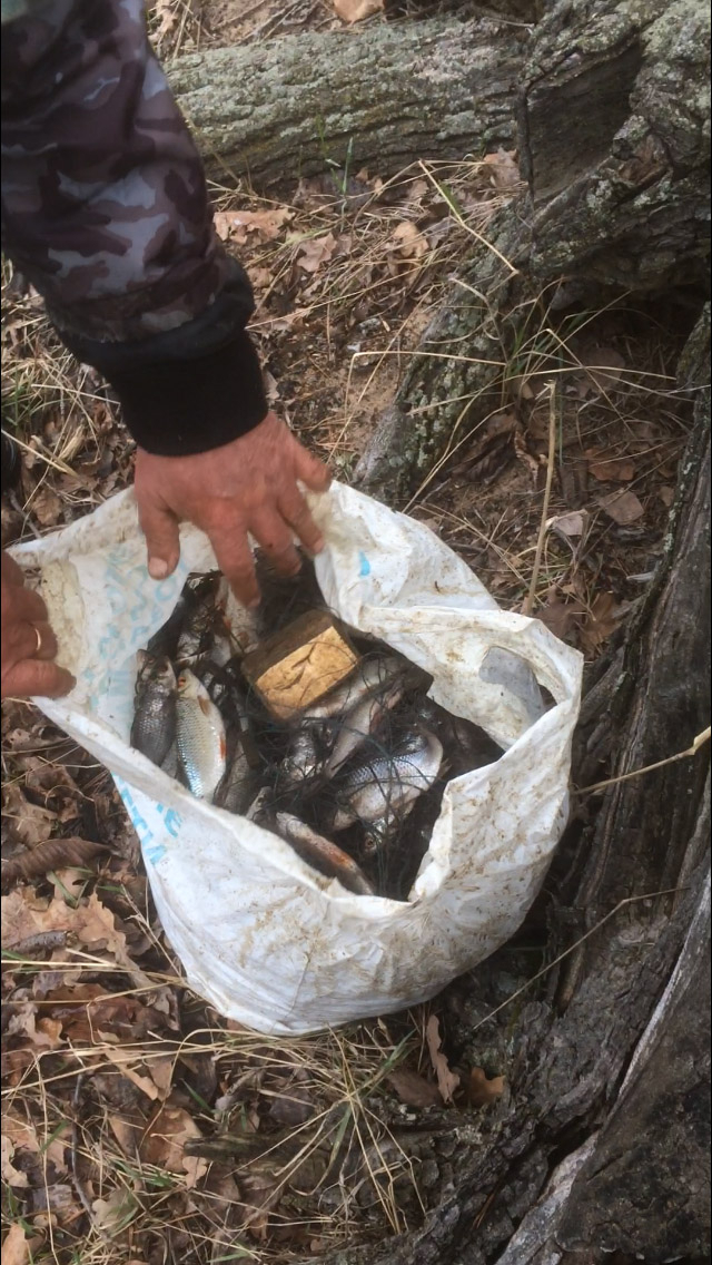 В Марий Эл двое мужчин наловили незаконной рыбы