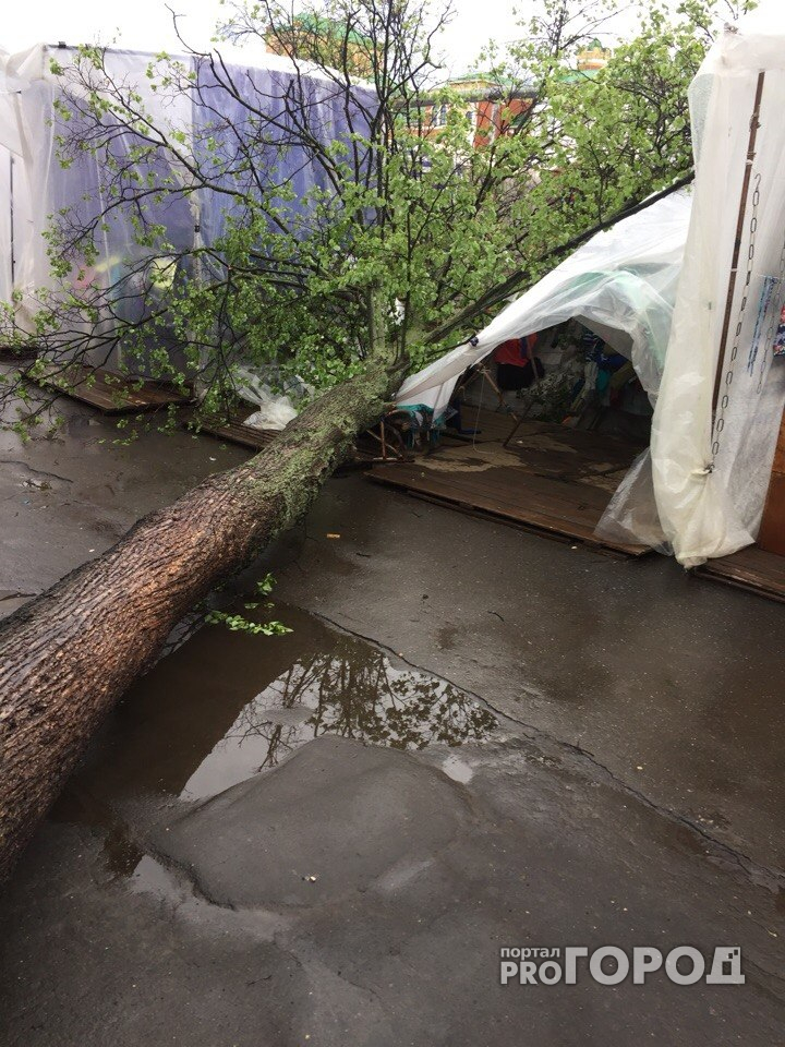 Последствия урагана в Йошкар-Оле: дерево упало на женщину