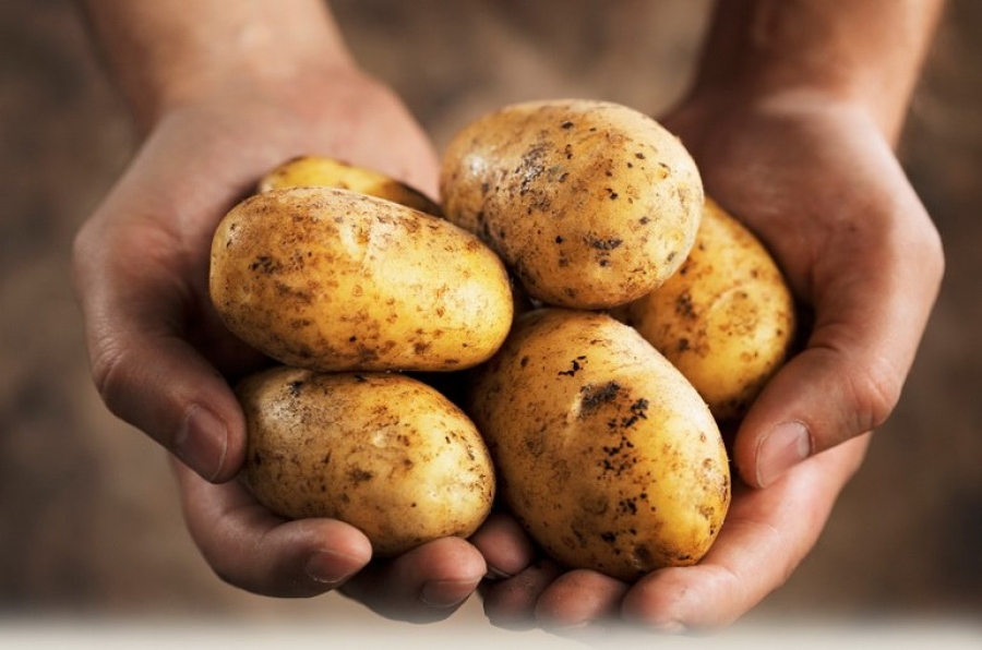 В Йошкар-Оле осужденных хотели накормить несвежим картофелем