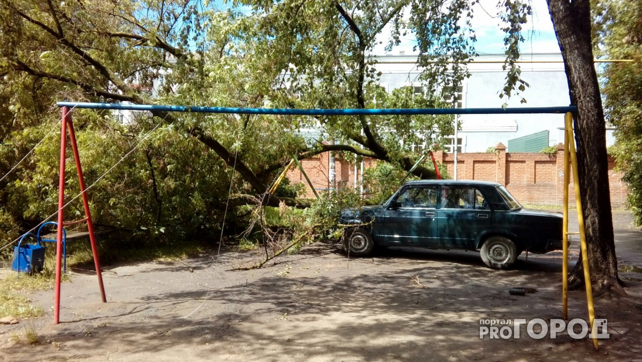 Непогода в Йошкар-Оле: горожане сообщают об упавших на авто деревьях