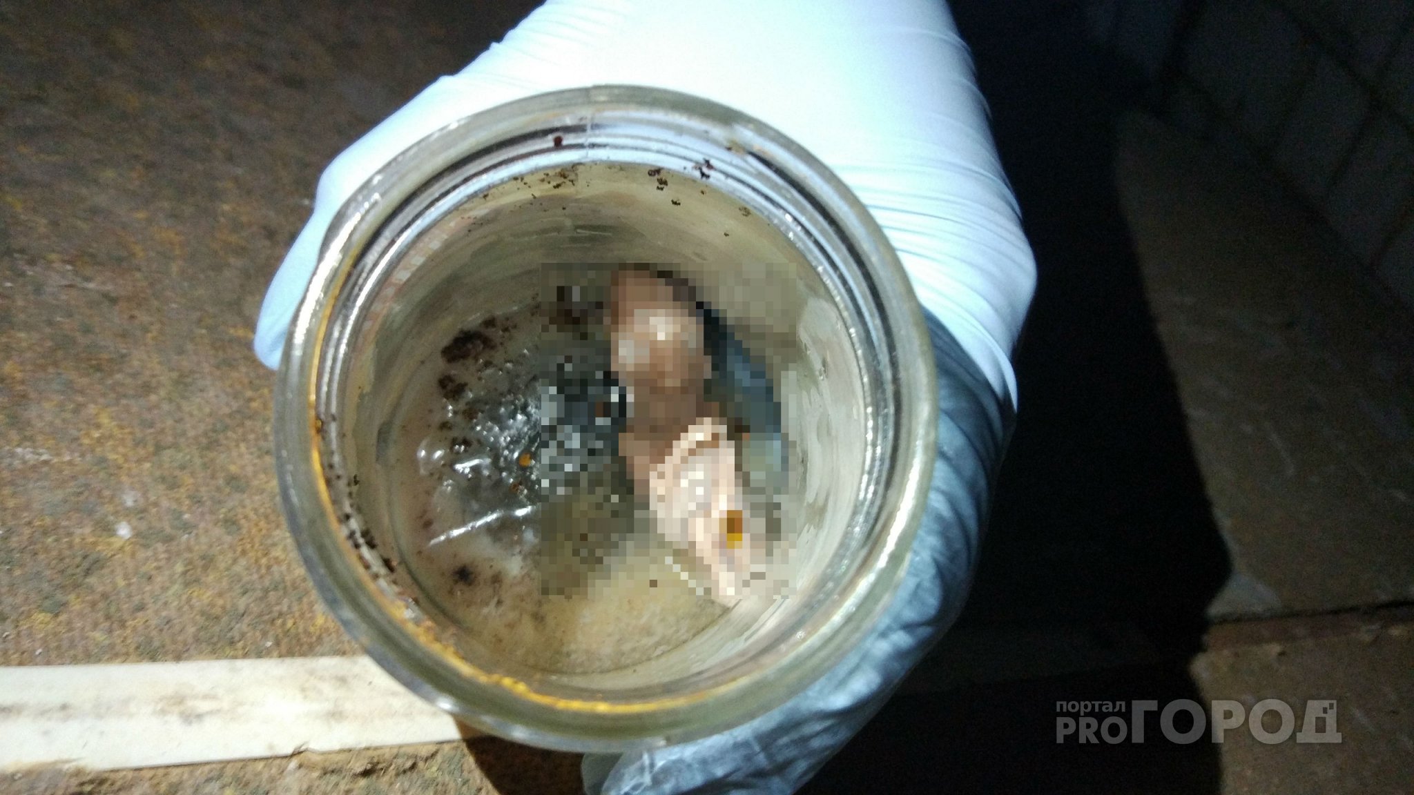 В стенах заброшенного йошкар-олинского морга найдет человеческий зародыш