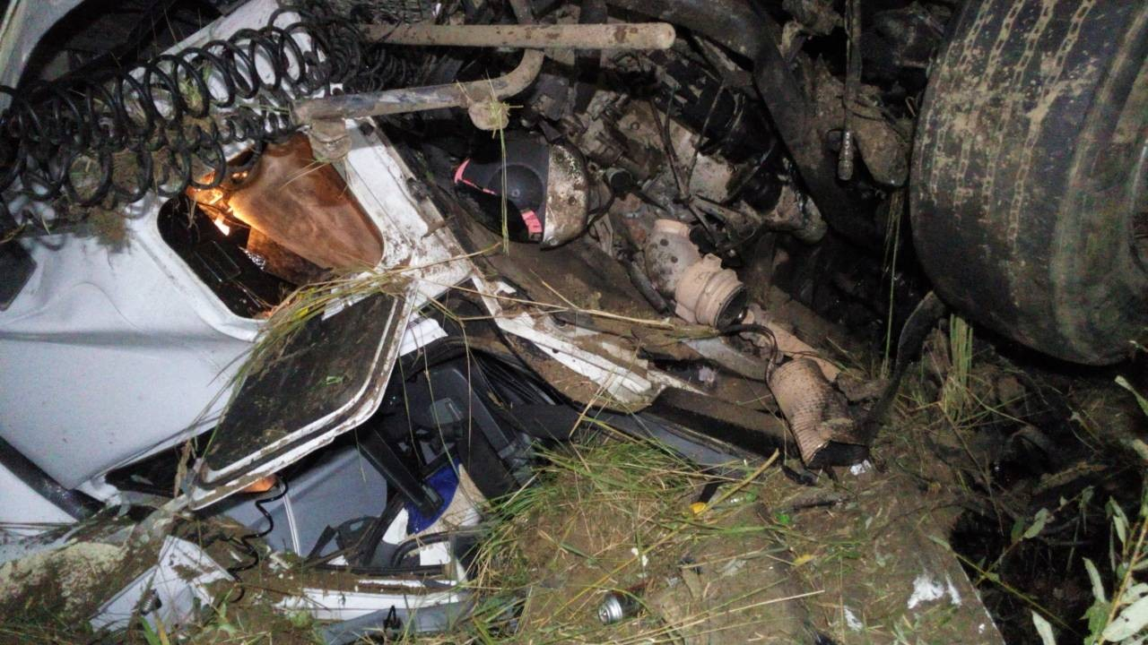 Страшное ДТП в Марий Эл: из-за лося на дороге погибли двое