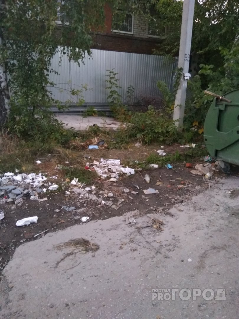 Эффект «Pro Город»: В Йошкар-Оле убрали мусор, валяющийся около баков