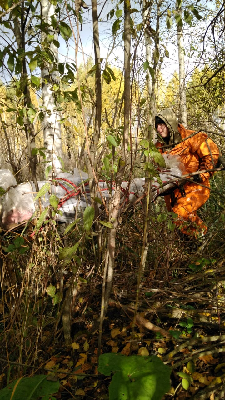 Охотники нашли тело женщины в лесу Марий Эл: появились фото