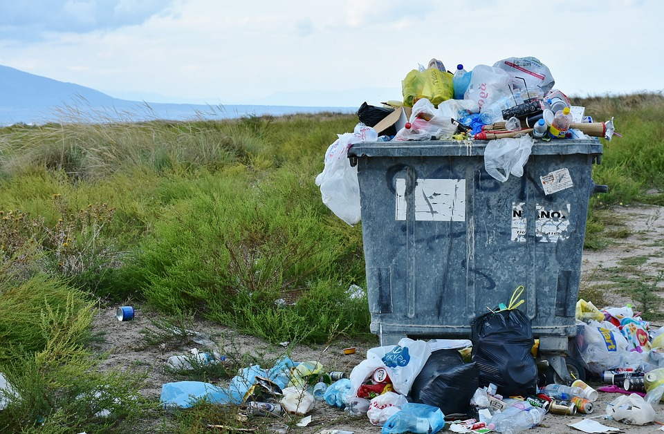 Жителей Йошкар-Олы обяжут делить мусор