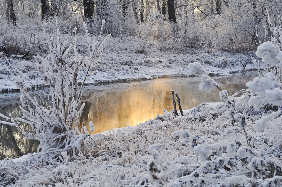 Народный синоптик Йошкар-Олы рассказал, будут ли в декабре 30-градусные морозы