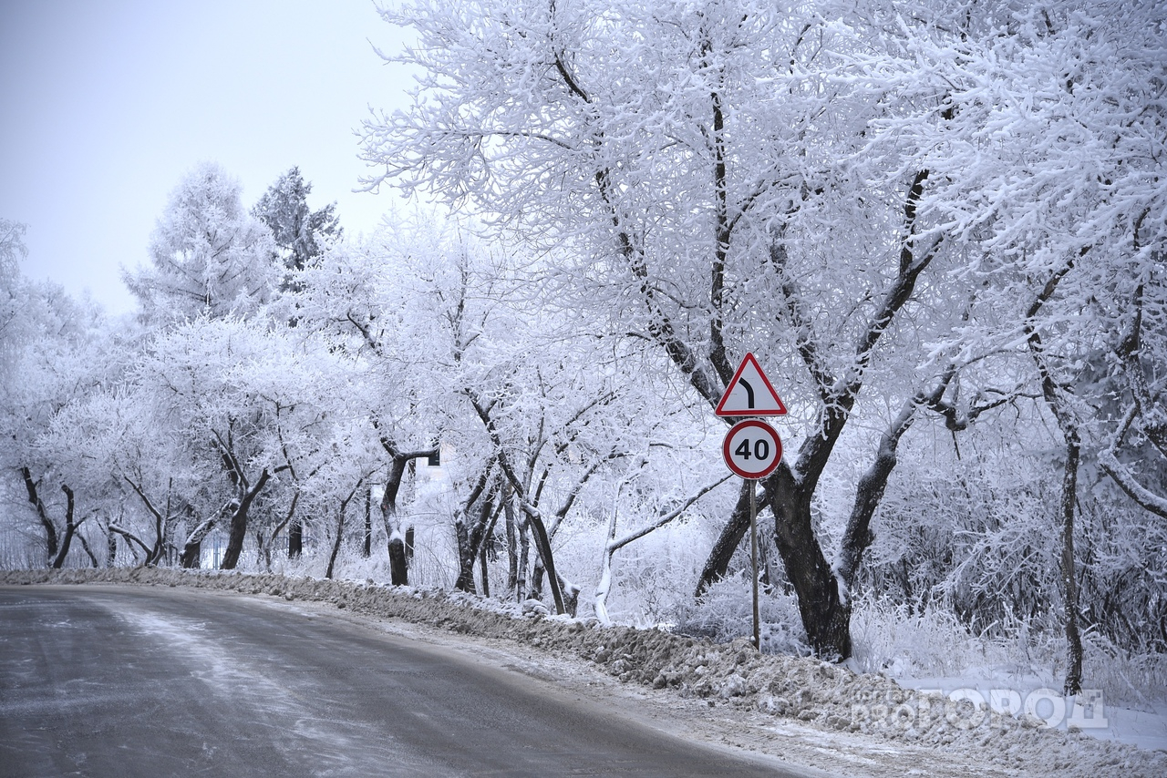 Фотоподборка: Жители Марий Эл делятся в Сети «снежной красотой»