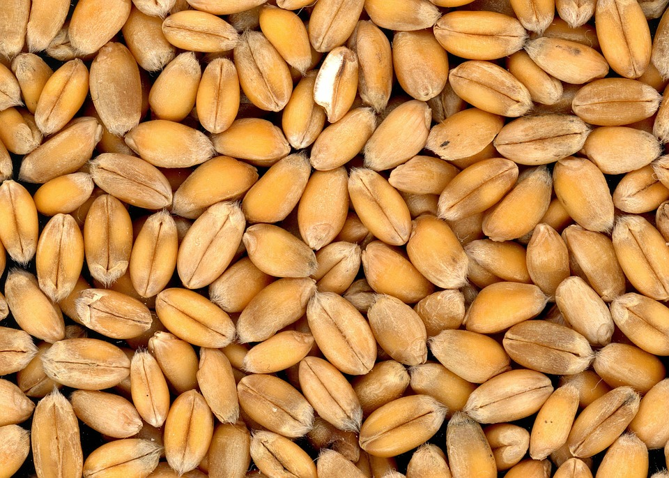 В Марий Эл "гениальный" предприниматель хранил 12 тонн зерна в гараже с нефтепродуктами