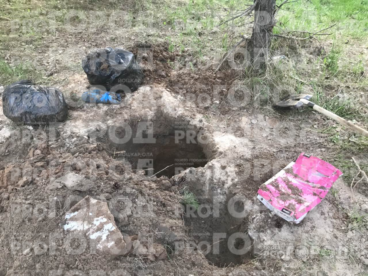 Террорист из Марий Эл, угрожавший полицейским, прятал в лесу самодельную бомбу