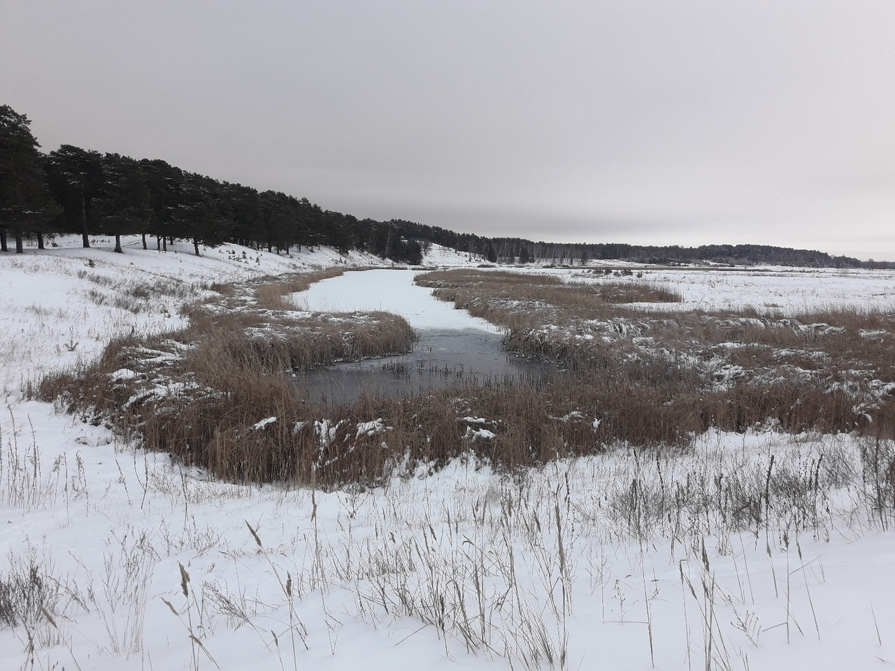 Экологическая катастрофа: в Звенигово растекаются реки из фекалий