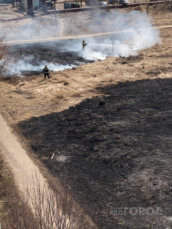 В Йошкар-Оле снова загорелось поле, которое тушили пожарные два дня назад