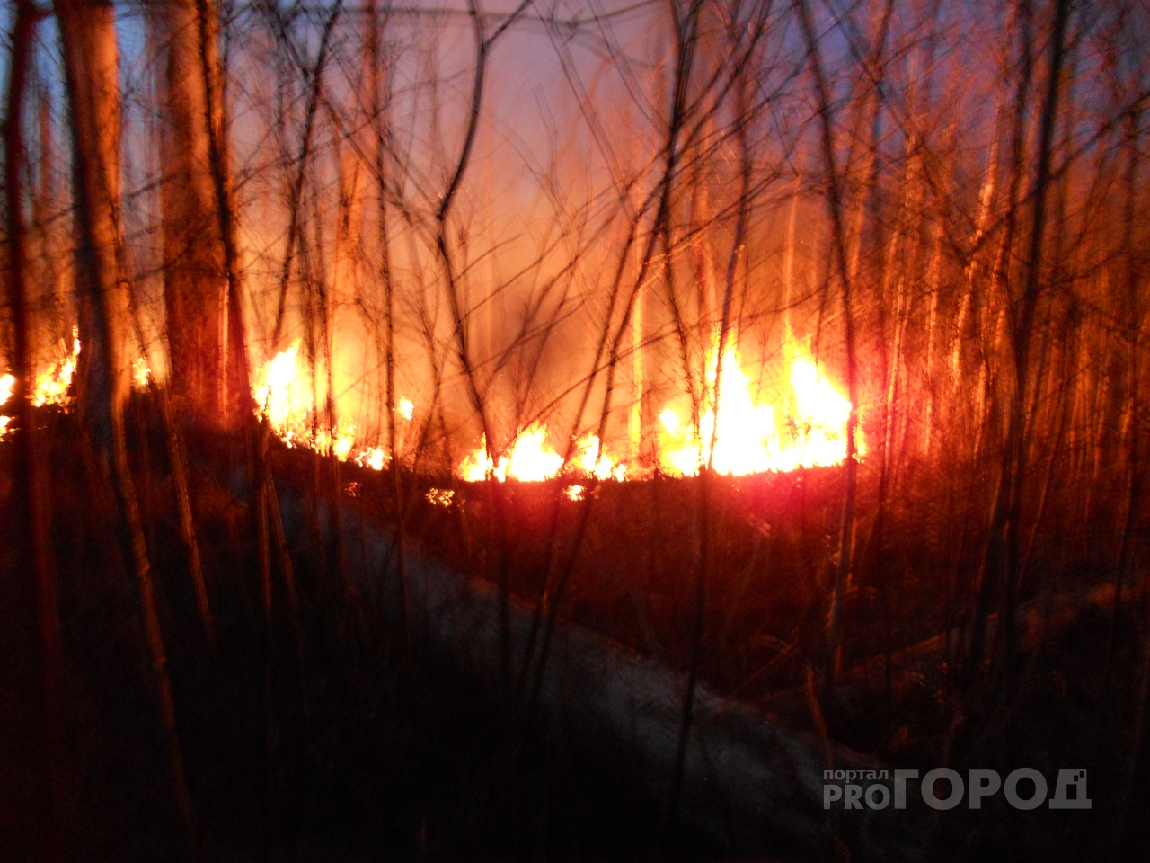 Полыхающие леса в Марий Эл: из-за человеческой ошибки пожарные всю ночь боролись с пламенем