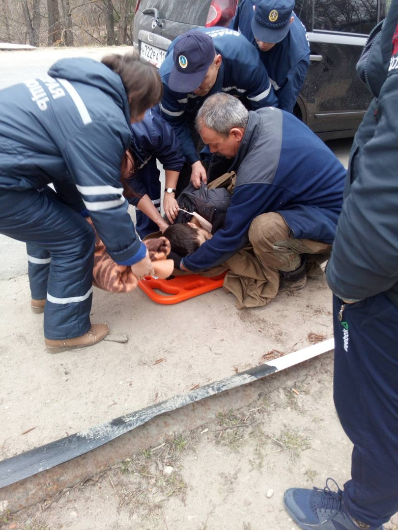 Мужчину, на которого упало дерево в Звениговском районе, везли на байдарке до «скорой»