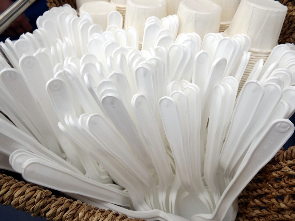 Минприроды России готовит запрет на одноразовую пластиковую посуду