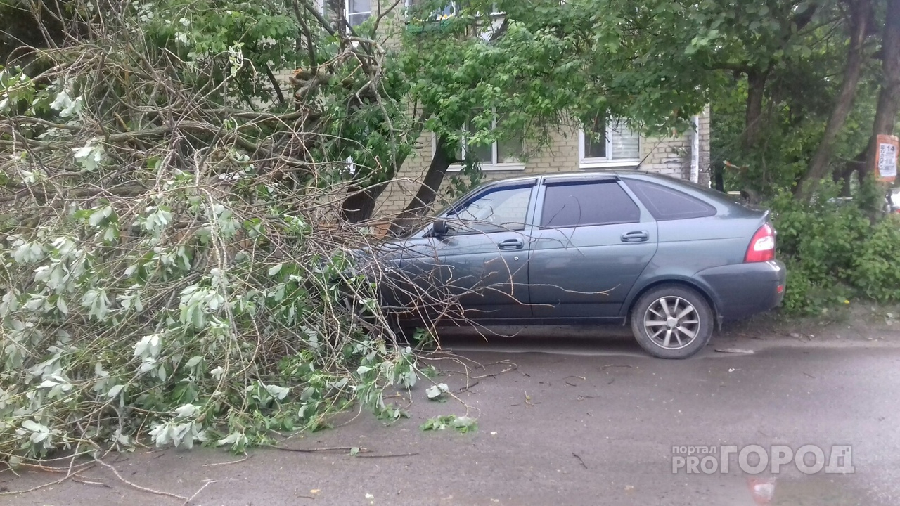 В Йошкар-Оле на Машиностроителей из-за урагана свалилось дерево
