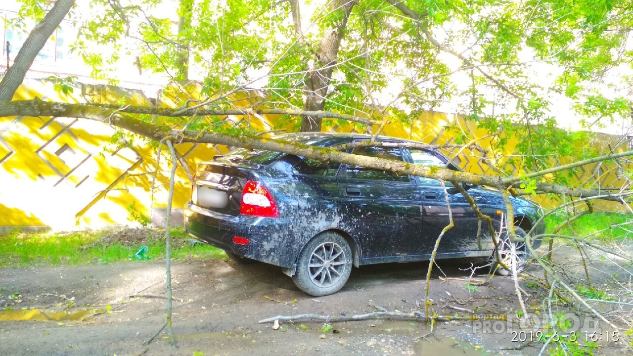 Последствия непогоды в Йошкар-Оле: упавшие деревья оставили дом без света и повредили автомобиль