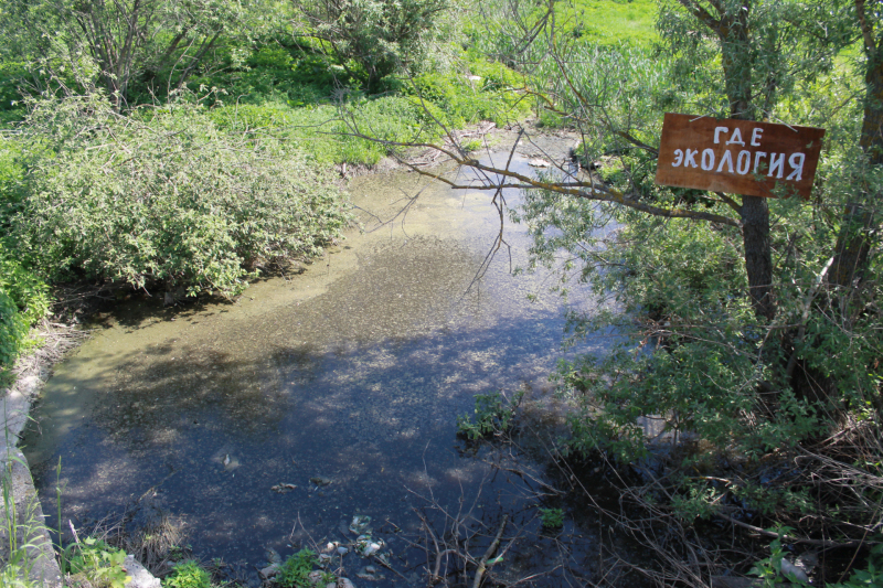 Жители Марий Эл о навозе, стекающем  в реку: «Все живое погибло, а деревья засохли»