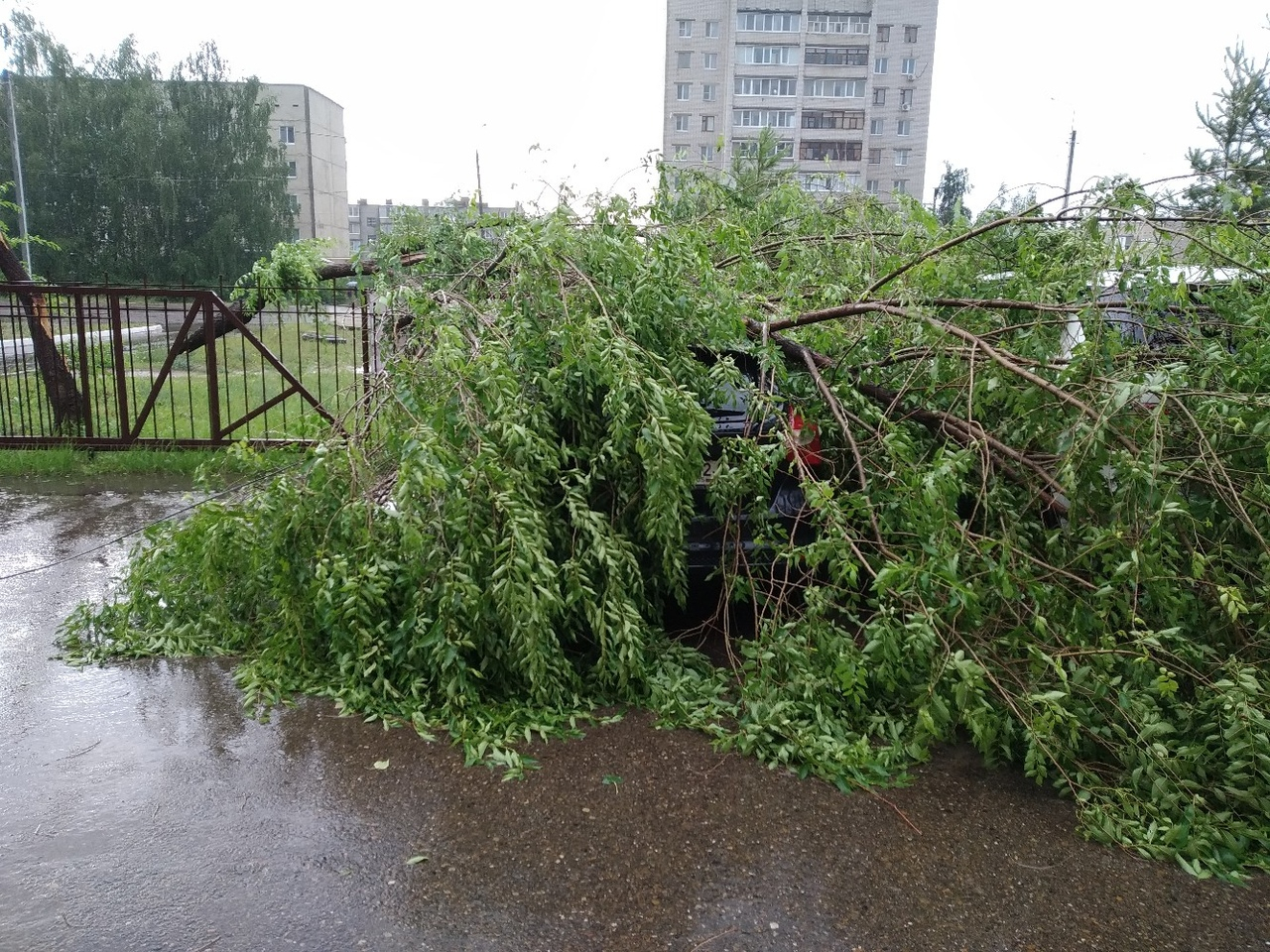 Чиновники выехали на ликвидацию последствий урагана в Волжске