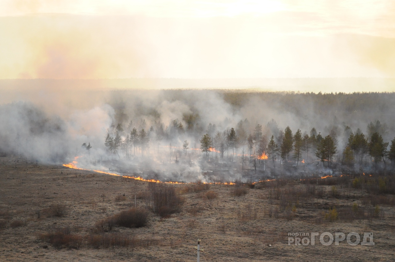 Смог и гарь: житель Марий Эл рассказал про пожары в Сибири