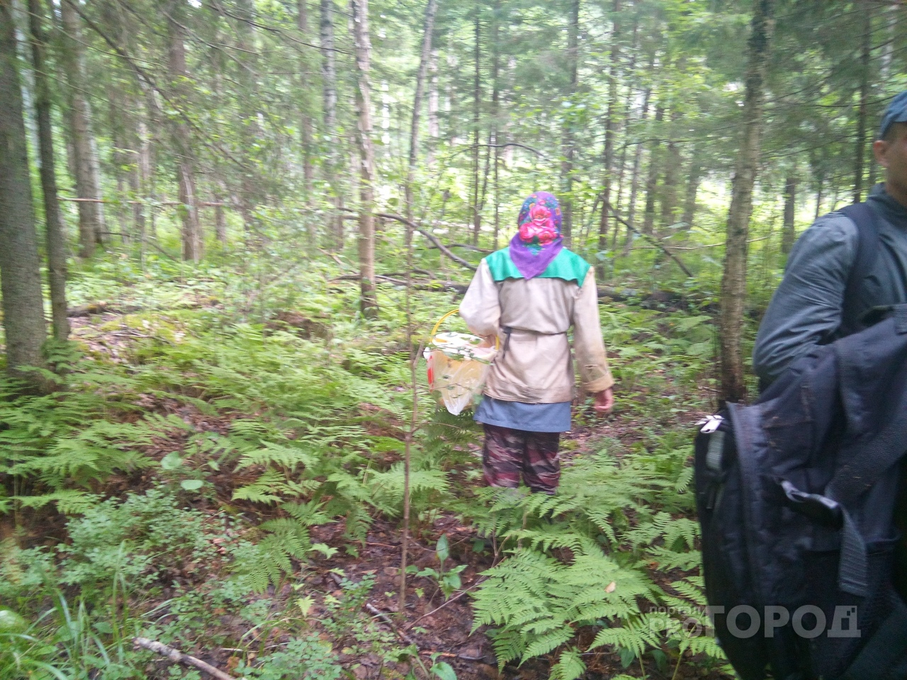 Две жительницы Марий Эл провели ночь в лесу: на поиски выезжали полицейские