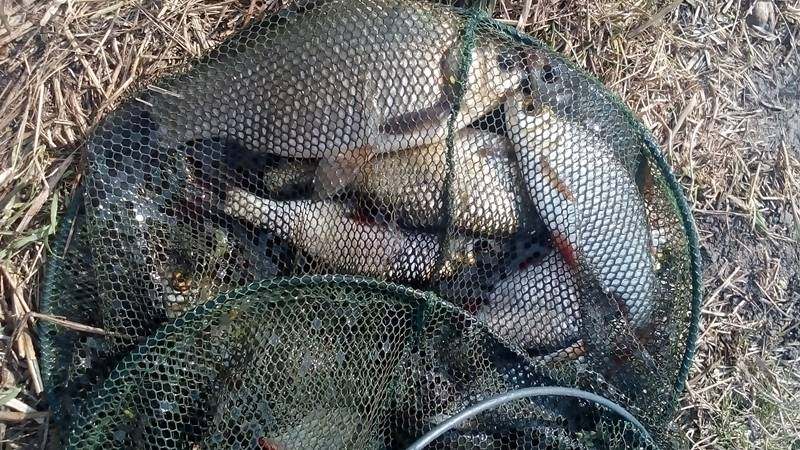 Житель Марий Эл пойдет под суд за ловлю рыбы